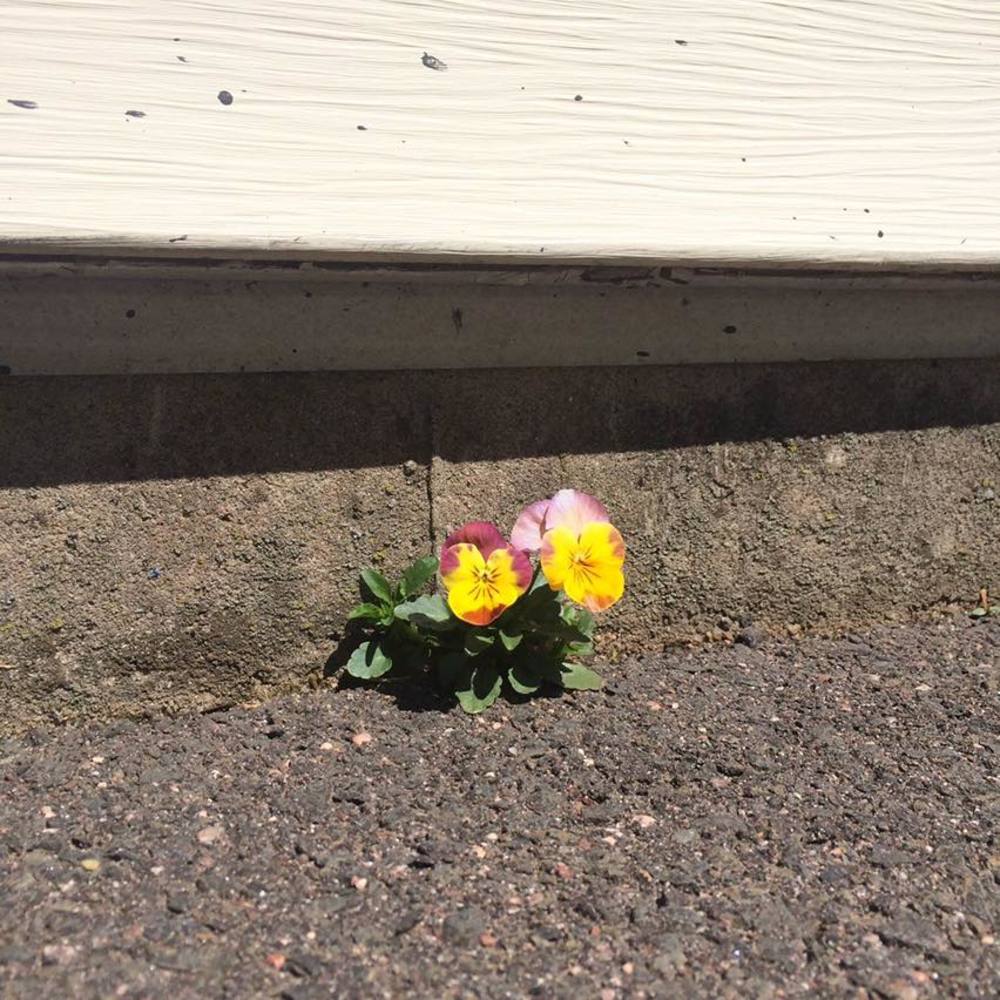 Meet your Posher, Racquel